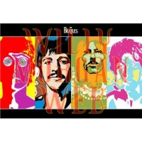 The Beatles 14